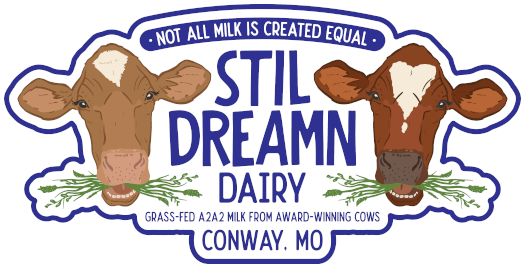 Stil Dreamn Dairy Logo